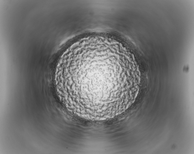 X0000091531158200709141429