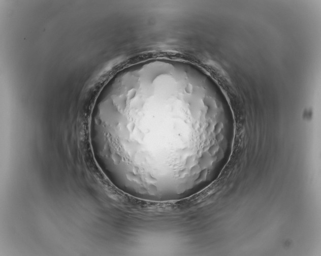 X0000091531159200709141429