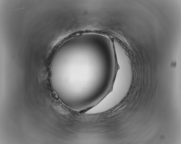 X0000091531160200709141429