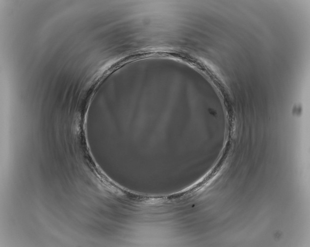 X0000091531161200709141429