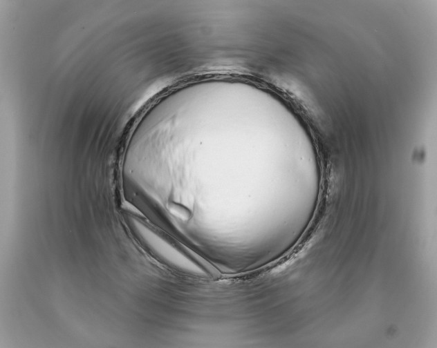 X0000091531162200709141429