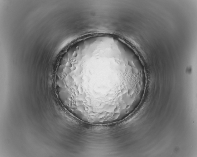 X0000091531163200709141429