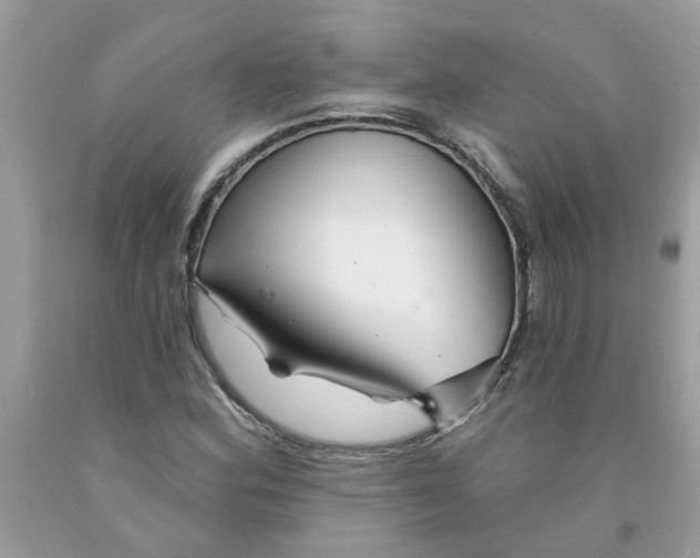 X0000091531164200709141429
