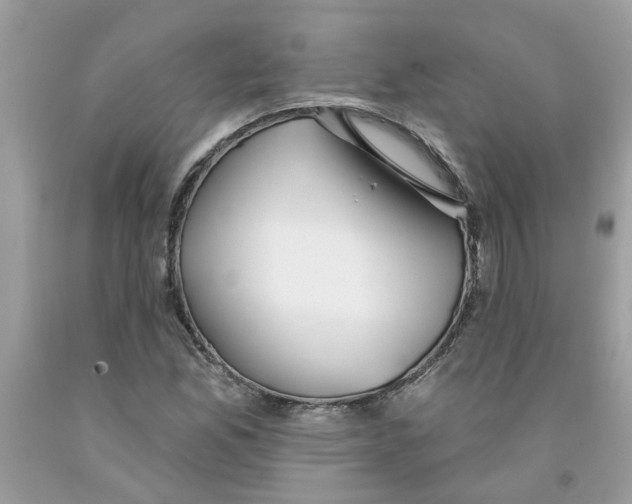 X0000091531165200709141429