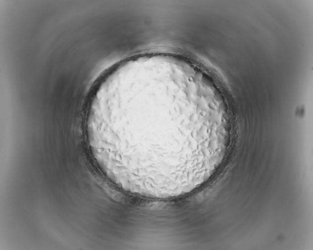 X0000091531166200709141429