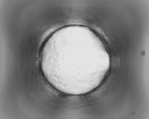 X0000091531167200709141429