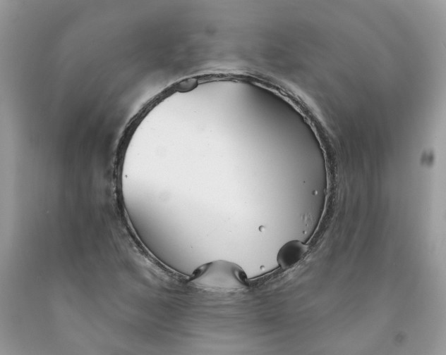 X0000091531168200709141429