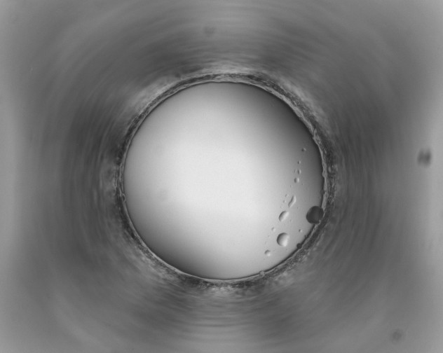 X0000091531169200709141429