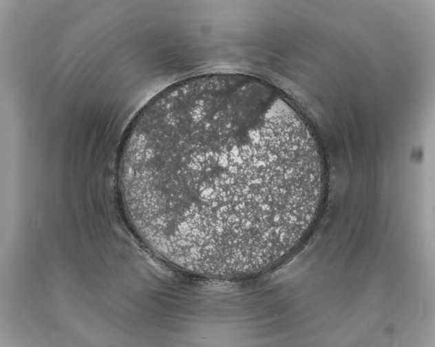 X0000091531170200709141429