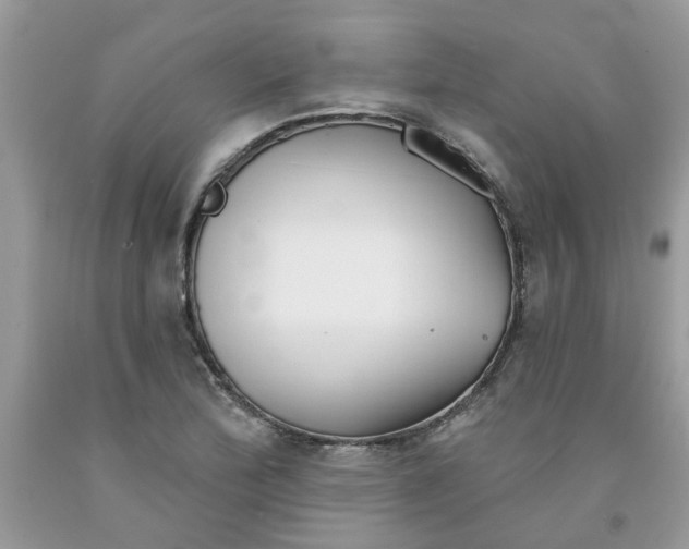 X0000091531172200709141429