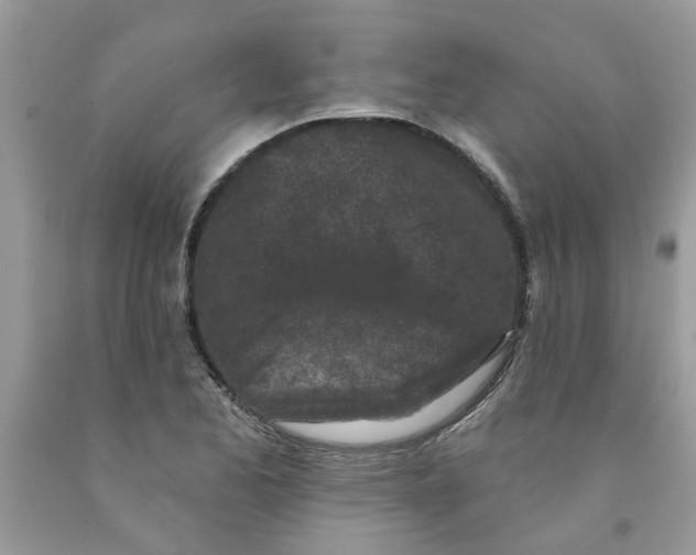 X0000091531173200709141429