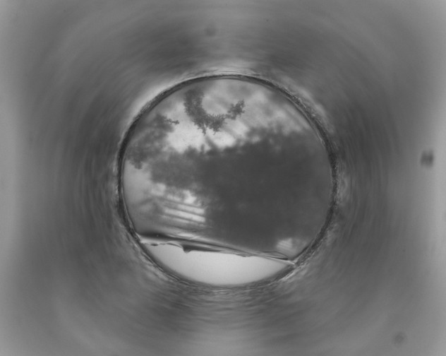 X0000091531174200709141429