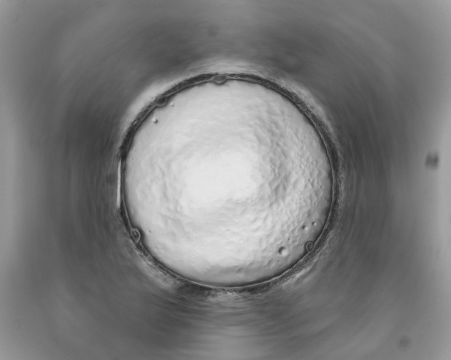X0000091531175200709141429