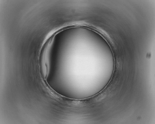 X0000091531176200709141429