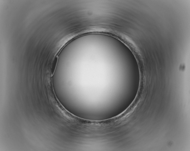 X0000091531177200709141429