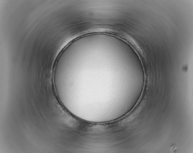 X0000091531178200709141429