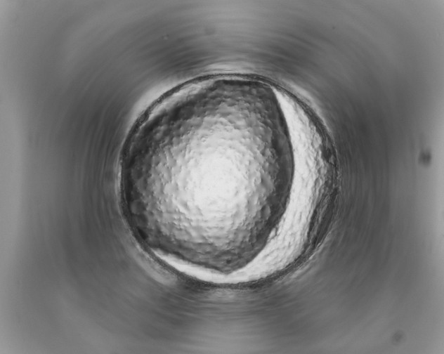 X0000091531179200709141429