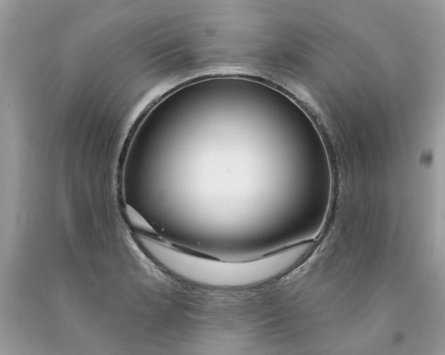 X0000091531181200709141429