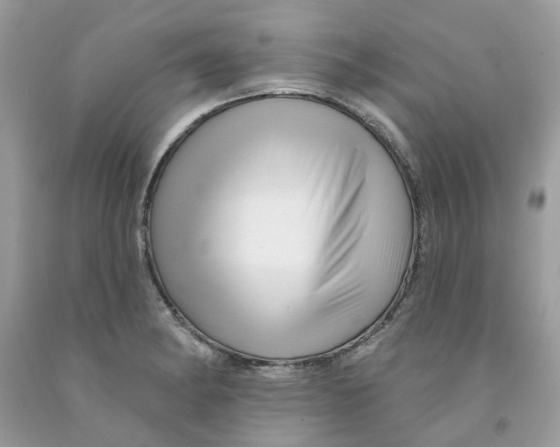 X0000091531182200709141429