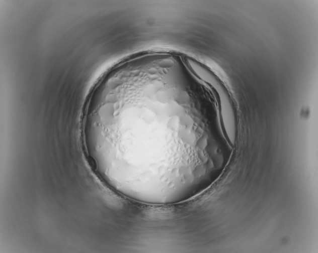 X0000091531183200709141429