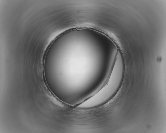 X0000091531184200709141429
