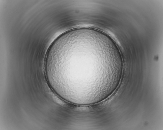 X0000091531186200709141429