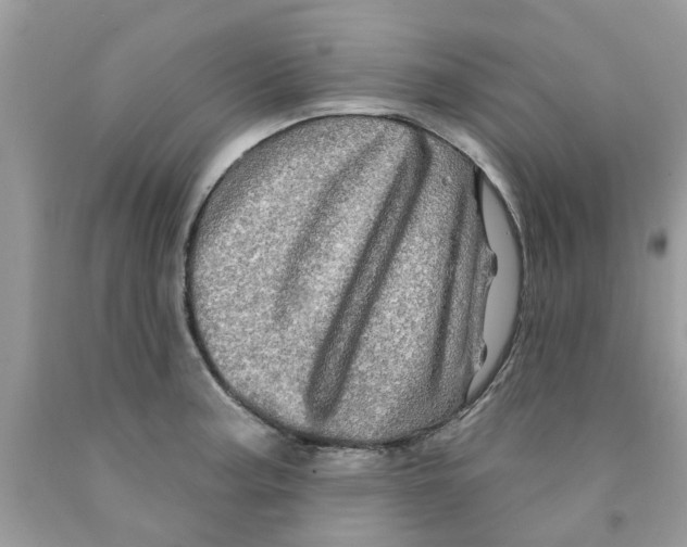 X0000091531187200709141429