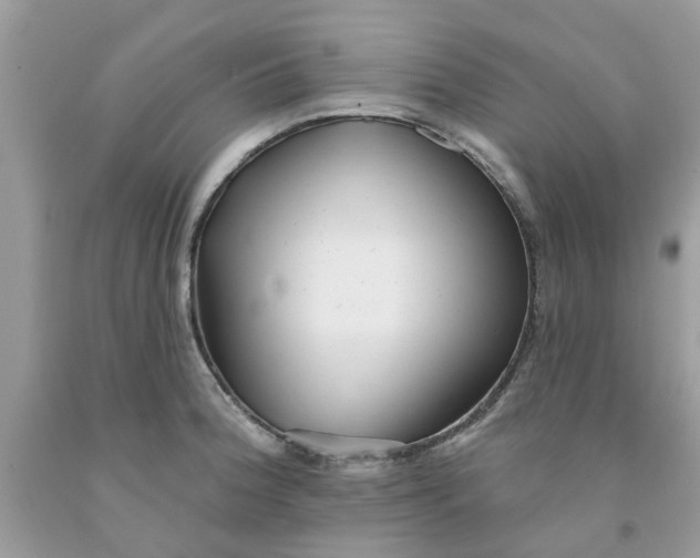 X0000091531188200709141429