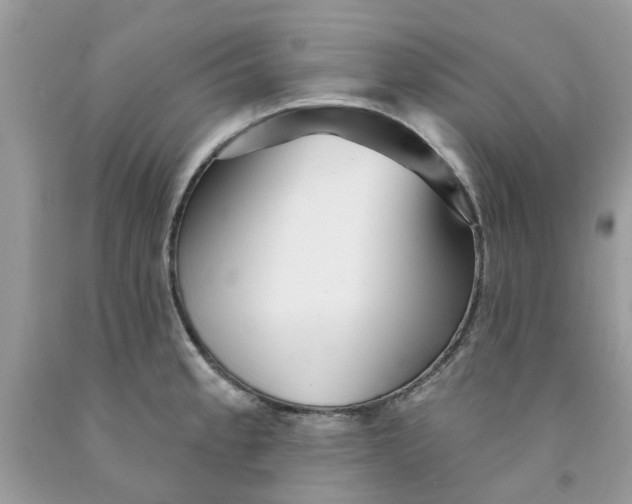 X0000091531189200709141429