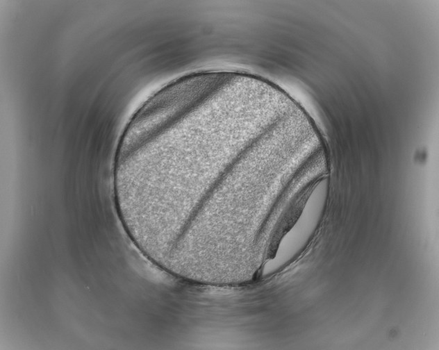 X0000091531191200709141429