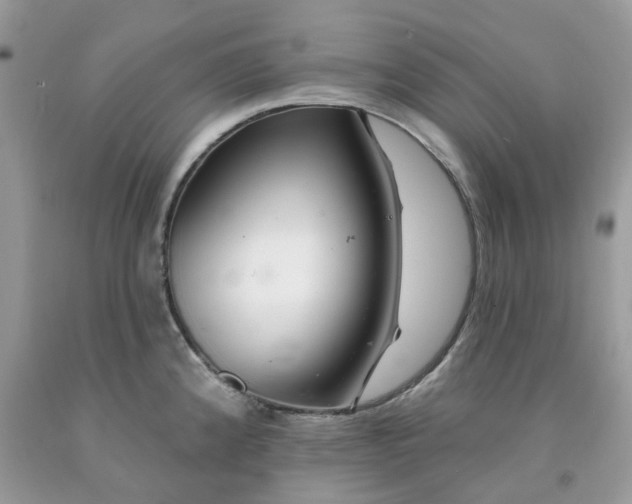 X0000091531192200709141429