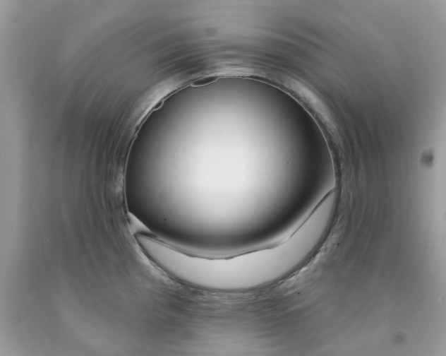 X0000091531193200709141429