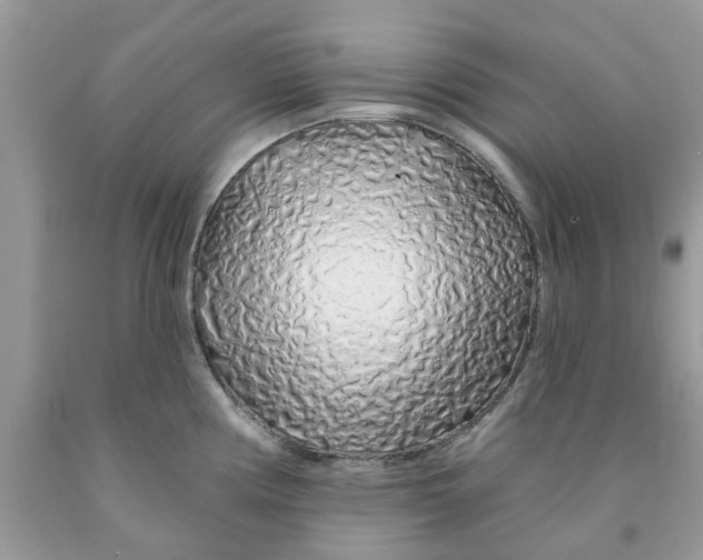 X0000091531194200709141429