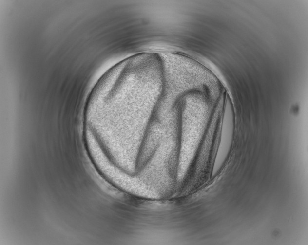 X0000091531195200709141429