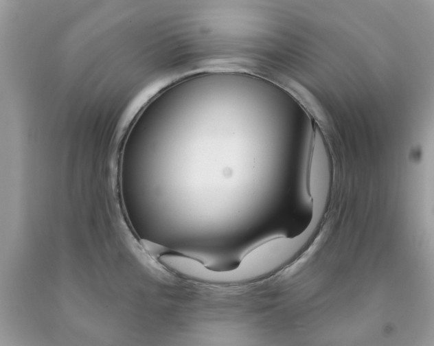 X0000091531196200709141429