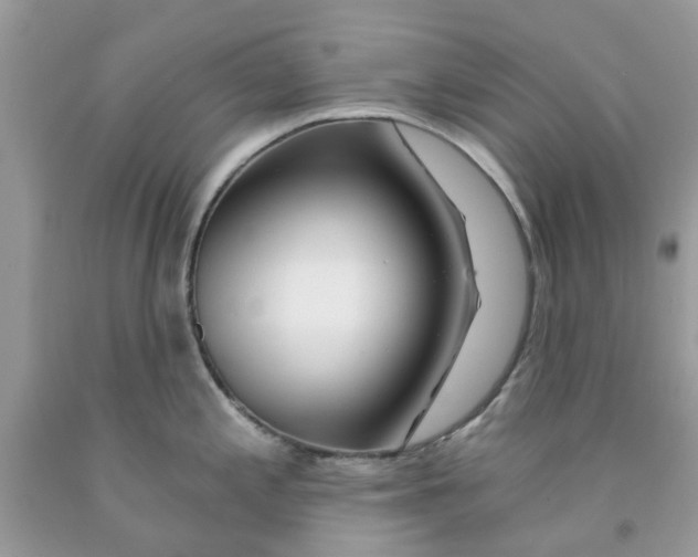 X0000091531197200709141429