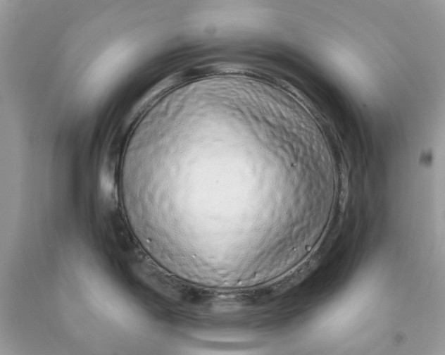 X0000091531198200709141429