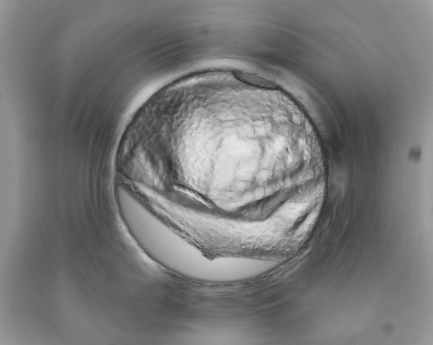 X0000091531199200709141429