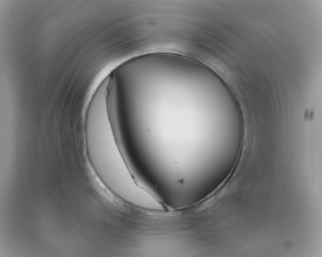 X0000091531200200709141429