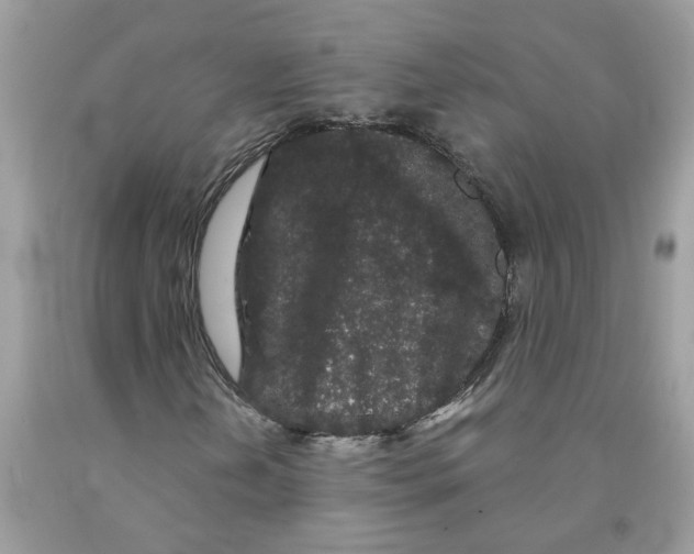 X0000091531202200709141428