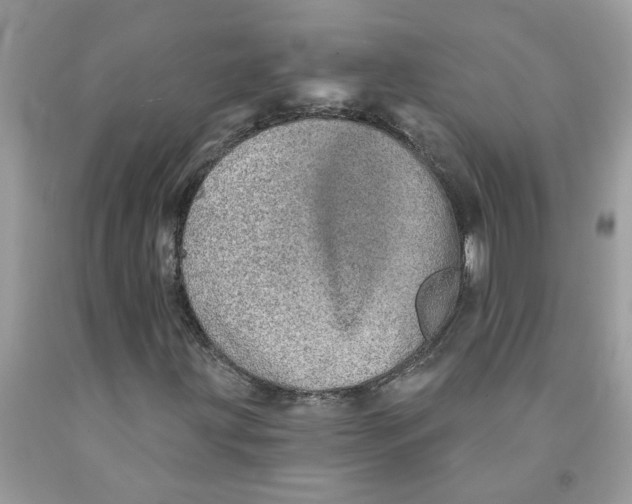 X0000091531203200709141428
