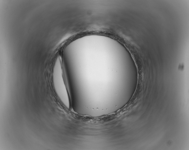 X0000091531206200709141428