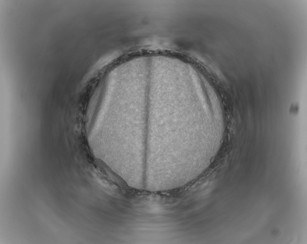 X0000091531207200709141428