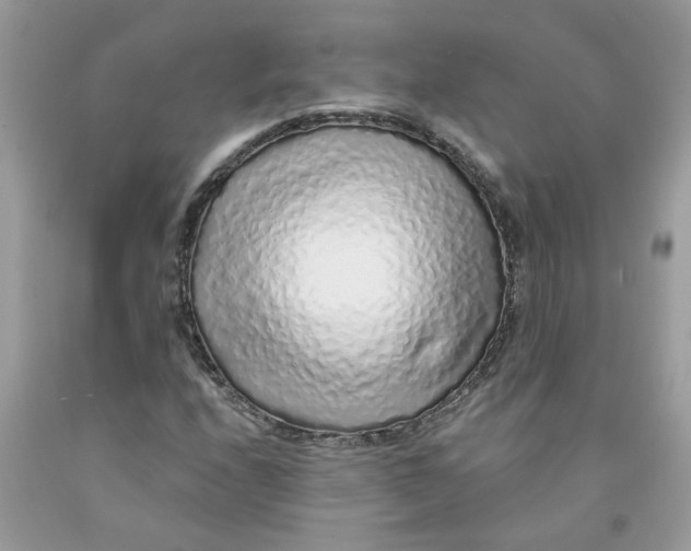 X0000091531208200709141428