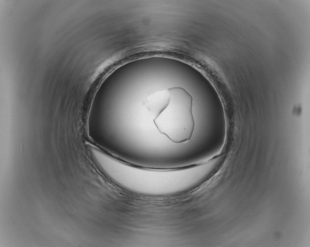 X0000091531210200709141428