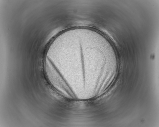 X0000091531211200709141428