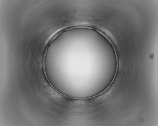 X0000091531212200709141428