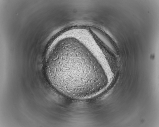 X0000091531213200709141428