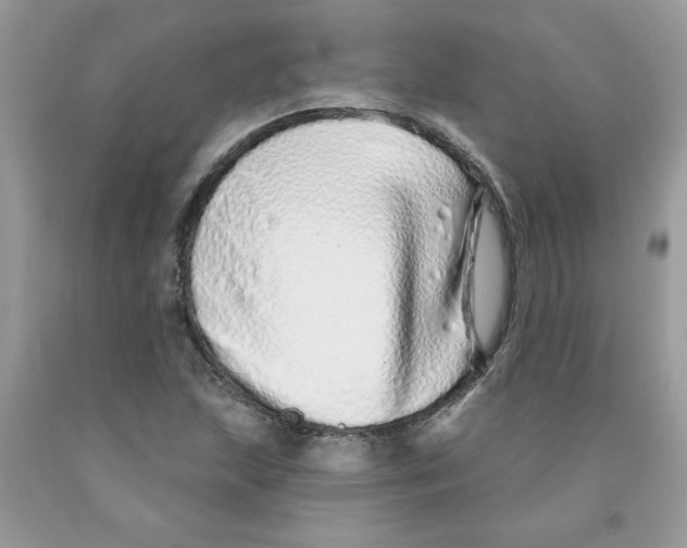 X0000091531215200709141428