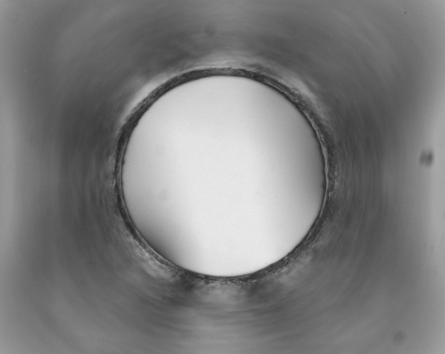 X0000091531216200709141428